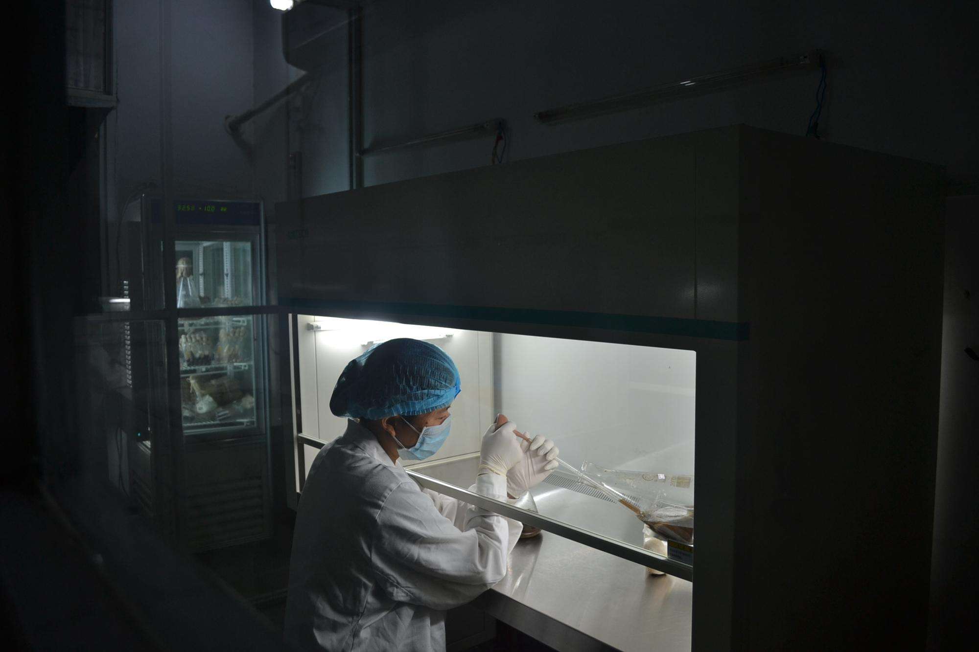 無菌操作時(shí)超凈工作臺(tái)需要準(zhǔn)備什么?